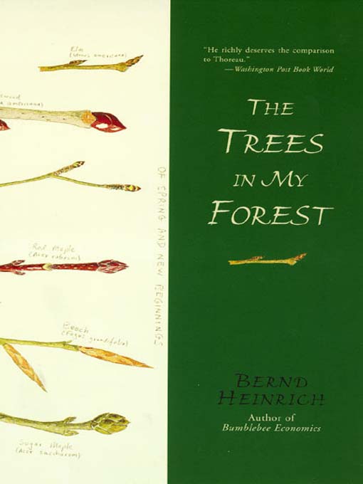 Title details for The Trees in My Forest by Bernd Heinrich - Available
